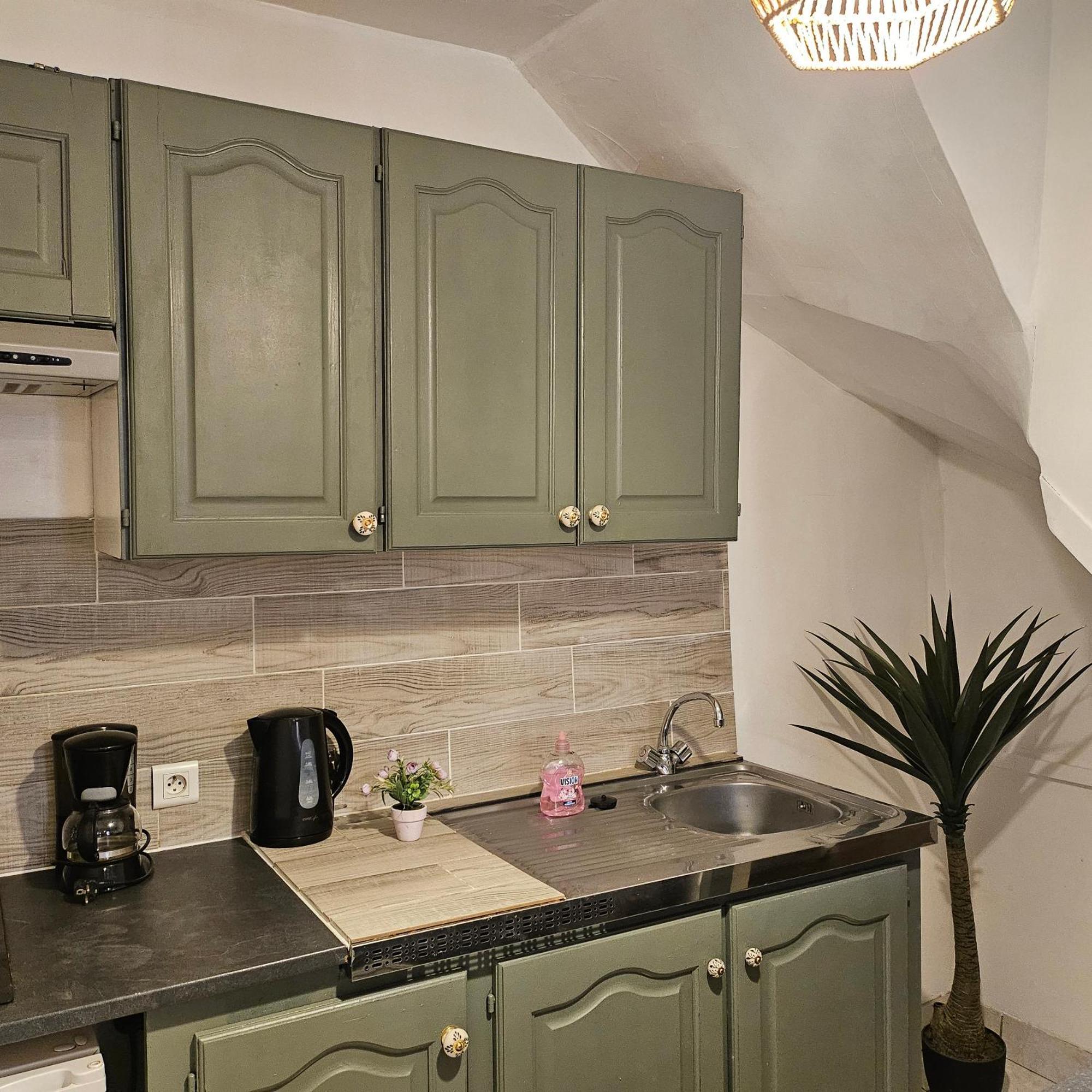3 Studios, Centre De La Bastide St Louis Каркасон Екстериор снимка
